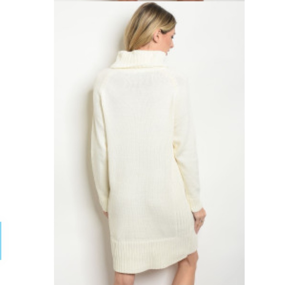 Sale ❄️ 1 left ⚡️ Ivory Turtleneck Sweater Dress - Picture 3 of 8